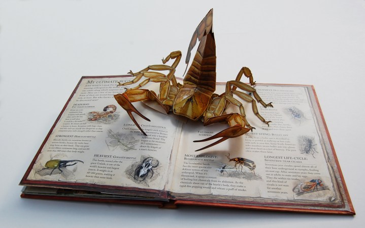 Bugs spread 5 DSC_0009